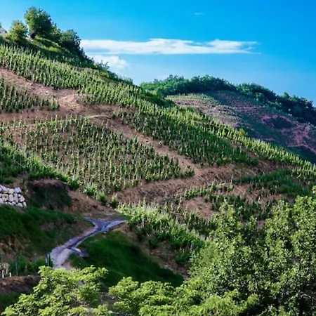 Koteja Nature - Location Au Charme Nordique En Ardeche - Studio Et 호텔 *